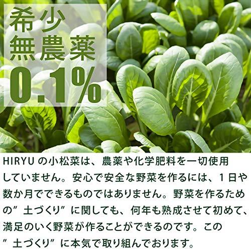 小松菜 1袋500g 国産 無農薬・無化学肥料