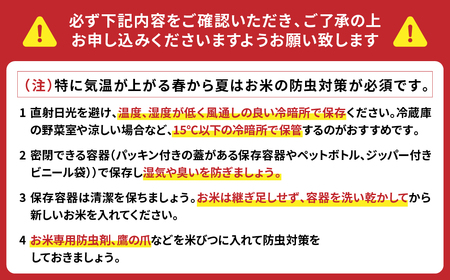 八代市産 ヒノヒカリ 5kg 令和5年産 米 熊本 送料無料