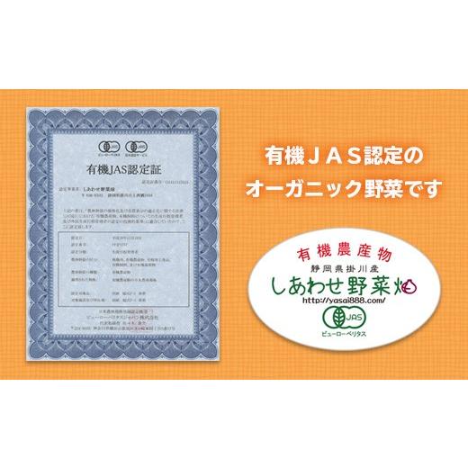 ふるさと納税 静岡県 掛川市 １７２５　於愛の方 ふるさとの味 有機野菜 有機茶 お米のセット １回便 しあわせ野菜畑