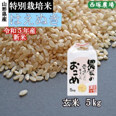 ふるさと納税 最上町 特別栽培米はえぬき　玄米 5kg　山形県産　西塚農場のお米