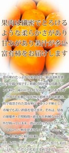 和歌山秋の味覚　富有柿　約４ｋｇ化粧箱入「2024年11月上旬以降発送予定」