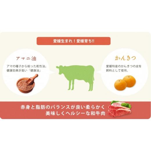 ふるさと納税 愛媛県 松前町 愛媛あかね和牛　焼肉用赤身ウデモモ（約800g）