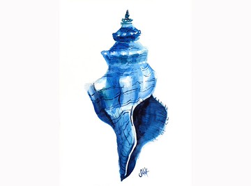 貝殼水彩海軍藍色航海原畫貝殼牆藝術海灘