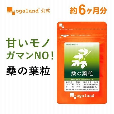 桑の葉粒 （約6ヶ月分） サプリメント サプリ 食物繊維 ビタミン アミノ酸 鉄 亜鉛 カルシウム マグネシウム ミネラル 健康 ダイエット 半年分 送料無料 美容
