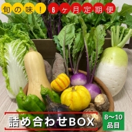 旬の味！お野菜 詰め合わせBOX 8～10品目×6回（栽培期間中 農薬・化学肥料不使用） 京都 亀岡 京野菜 農家より直送