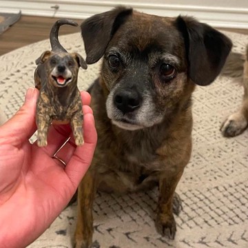 【客製化3D寵物紀念公仔】訂製手作似顏繪肖像狗狗貓咪毛小孩娃娃