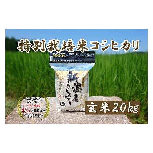 ふるさと納税 新潟県 上越市 令和5年産｜新潟上越三和産｜特別栽培米コシヒカリ（従来種）20kg（2kg×10）玄米