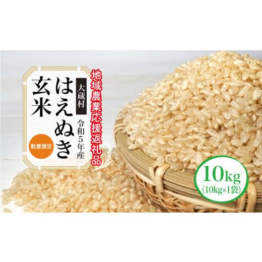 ふるさと納税 山形県 大蔵村 令和5年産　はえぬき10kg（10kg×1袋）〜地域農業応援返礼品〜