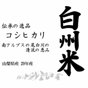 新米 日本名水100選 令和5年産 山梨県産 白州米コシヒカリ 10kg 白米