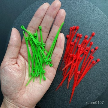 小號尼龍紮帶小紮帶綁帶收緊器塑料捆綁2.5*100mm彩色10公分釐米 VNVK