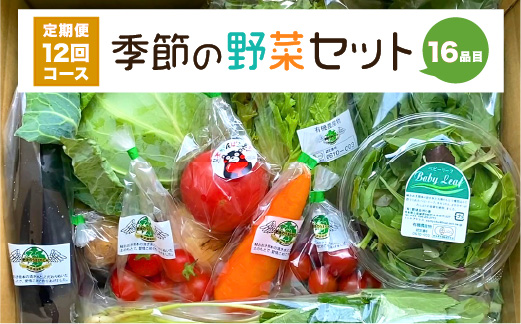  季節の野菜セット 16品目