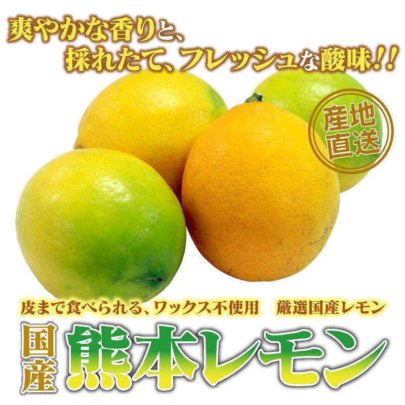 マイヤーレモン レモン 国産 3kg 送料別   ＜現在2023年10月上旬より順次出荷予定＞  減農薬 ノーワックス 防カビ剤不使用 産地直送 おおしま屋