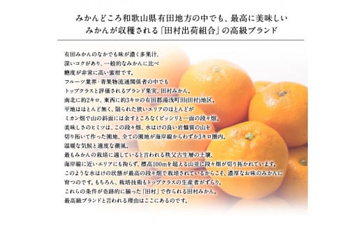 田村みかん　秀品5キロ サイズおまかせ◆2023年11月下旬～2024年1月下旬頃に発送(お届け日指定不可)　紀伊国屋文左衛門本舗