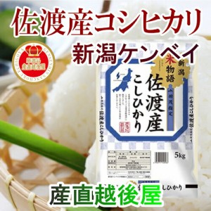 令和５年産 新米 新潟県産 コシヒカリ 新潟県佐渡 JA羽茂農協 コシヒカリ30kg 佐渡産地限定 新潟ケンベイ産 送料無料