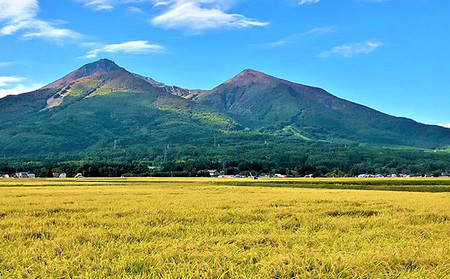 令和5年産 福島県産 あさか舞コシヒカリ 無洗米10kg（5kg×2袋）