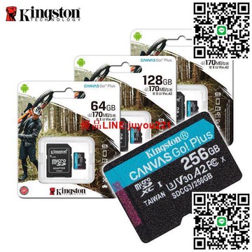 原廠 Kingston 64G 128G 256G MicroSD 高速記憶卡 A2 V30 速度170MB SDCG3