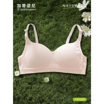 加蒂諾尼無鋼圈內衣少女大胸顯小文胸罩聚攏夏季薄款收副乳防下垂