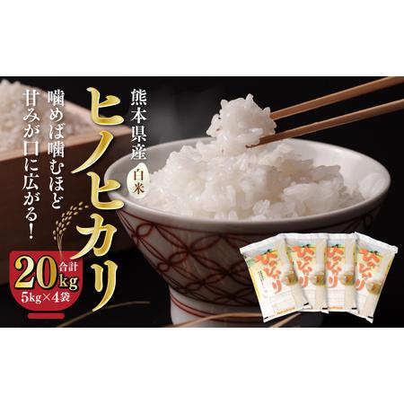 ふるさと納税 八代市産 ヒノヒカリ 20kg (5kg×4袋) 令和5年産 米 熊本 送料無料 熊本県八代市