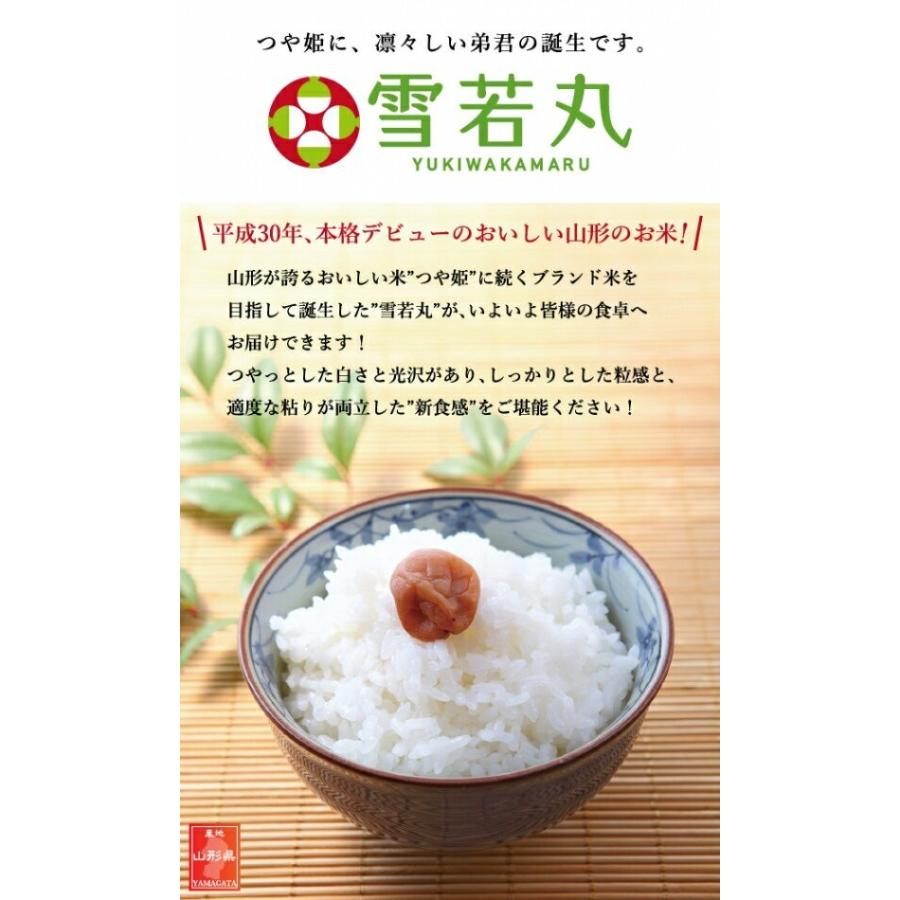 レトルト パックごはん 山形県産 雪若丸 パックご飯 150g×24食 送料込