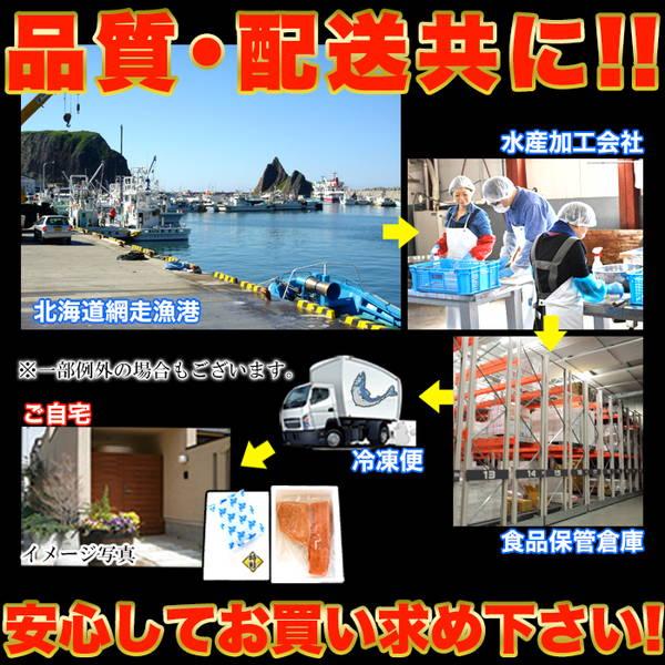 時鮭 鮭 ときしらず ブロック 刺身 400g ギフト対応可 冷凍便