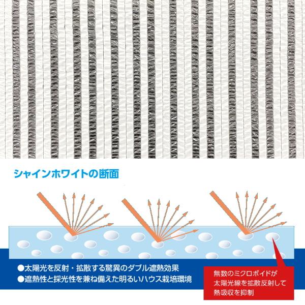 日本ワイドクロス ハウス内張り専用 サンサンカーテン白くま 65S 遮光率65% 平方m販売 遮光 遮熱 保温