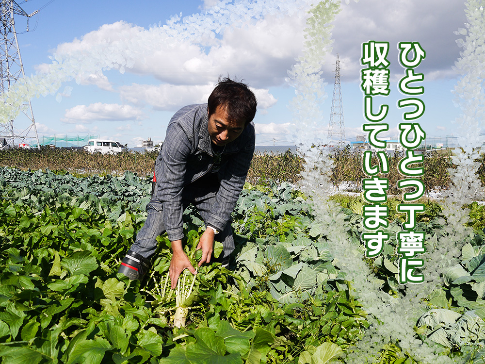 CC004_かずちゃんの朝採り新鮮野菜セット隔月6回お届け みやき町産／みやき町