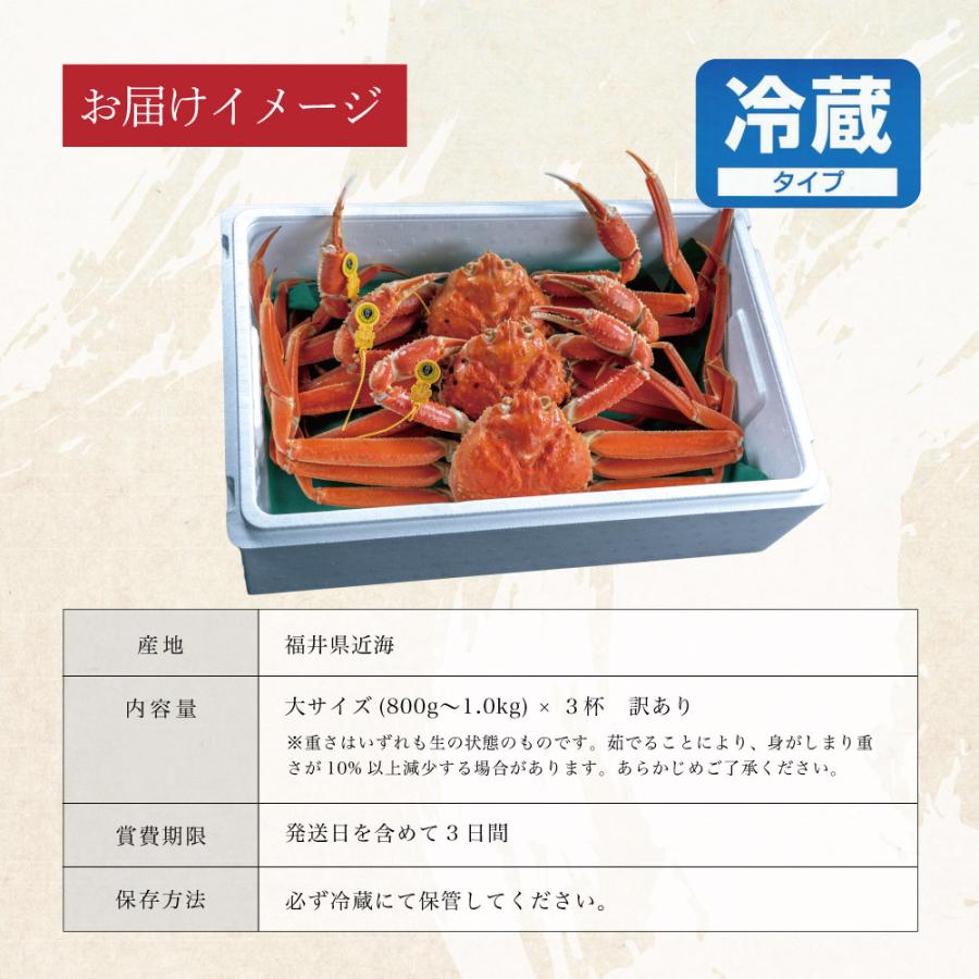 かに カニ 蟹 訳あり 越前がに 越前蟹 ずわい蟹 ズワイガニ ずわいがに 姿 送料無料 お歳暮 ギフト プレゼント お祝い 大サイズ 800g〜1.0kg 3杯