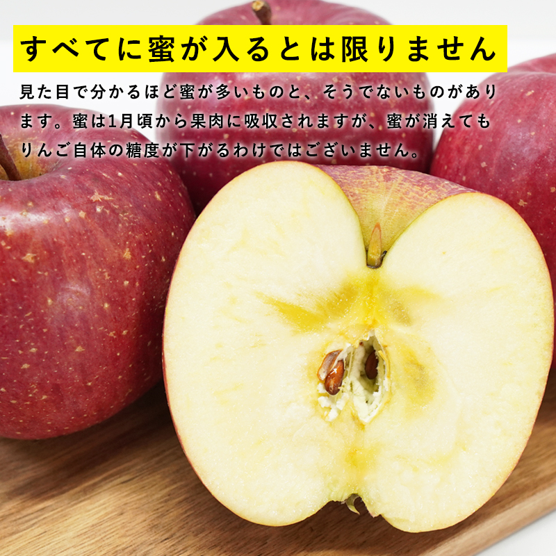 送料無料 青森県産 訳あり サンふじ ご家庭用約10kg 人気の訳ありリンゴ 家庭用 青森 青森産 訳あり サンふじ りんご 林檎 ふじ ks