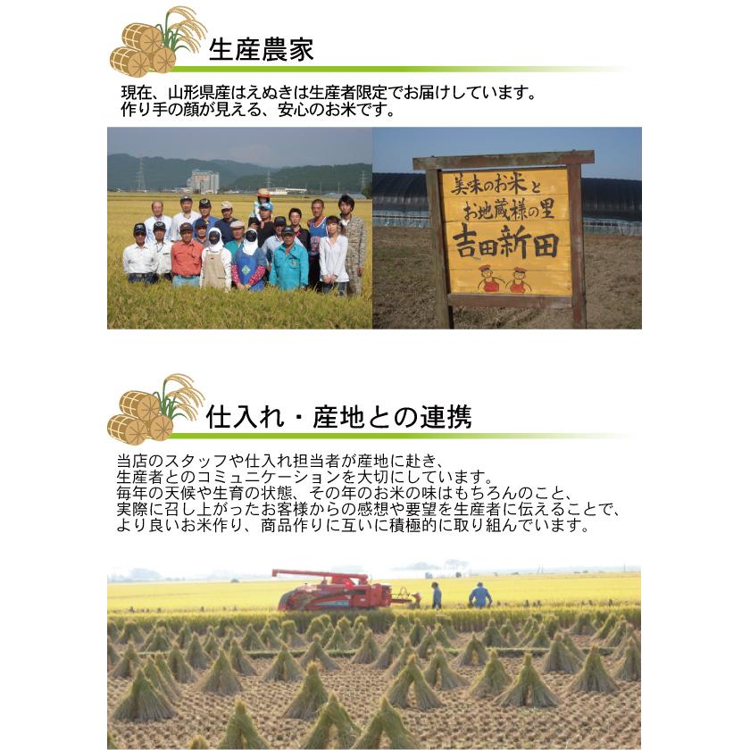 特価  新米 令和5年産 無洗米 5kg×2 はえぬき 10kg 山形県産 特別栽培米 お米 送料無料（SL）