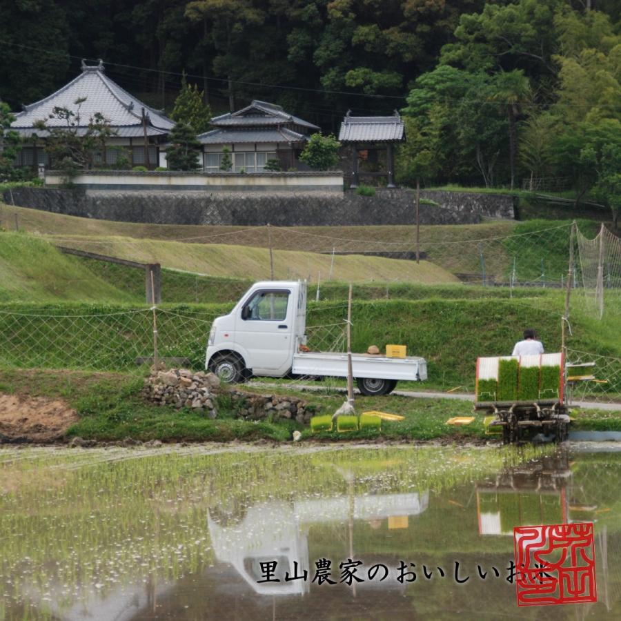 新米 お米 30kg 送料無料 玄米にて 令和5年産 清流きぬひかり芥田川 農家直送 石抜処理済 お米ギフト 贈答