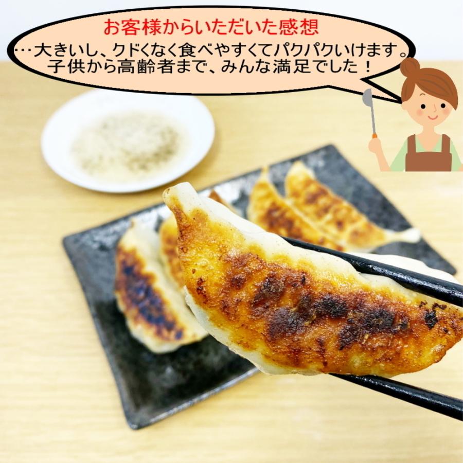 送料無料 冷凍餃子 宇都宮AQ餃子肉焼売セット  宇都宮 餃子 ぎょうざ ギョーザgyouza 餃子焼売セット シュウマイ シューマイ