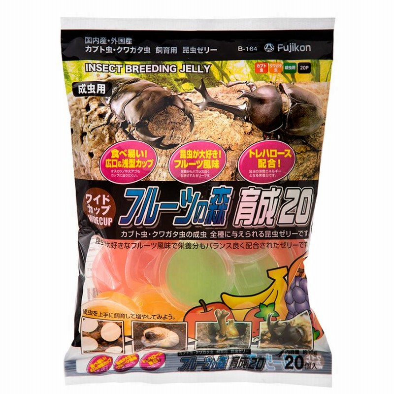 台湾マハシール　”中国”　15-17cm程