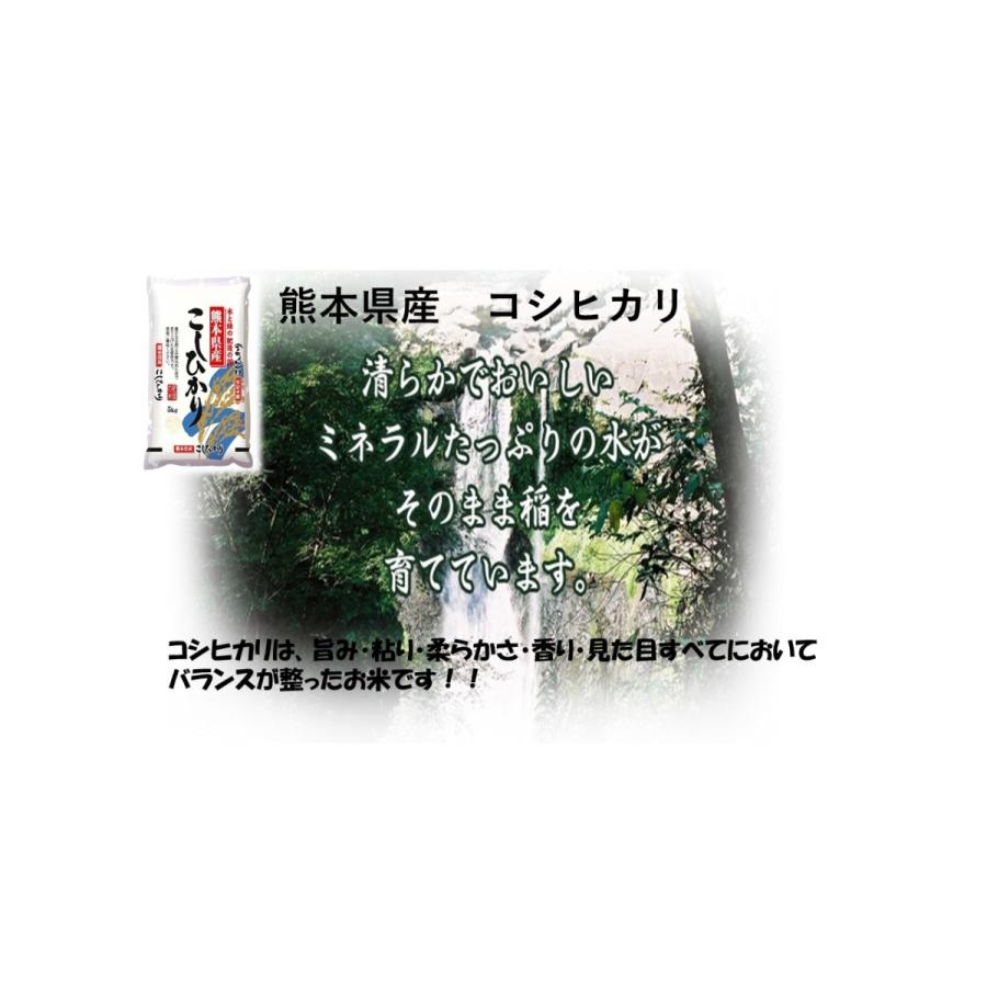 新米　米　お米　５ｋｇ　くまモン　熊本県産　こしひかり　令和５年産　送料無料