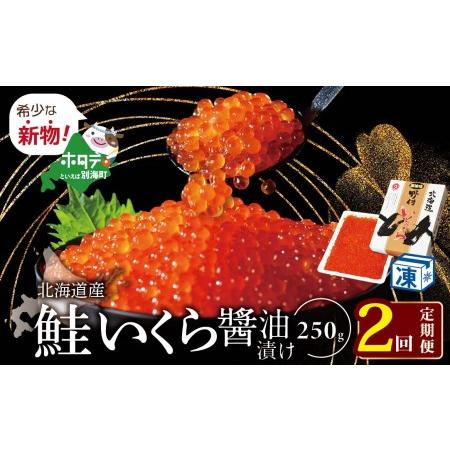 ふるさと納税  希少な新物いくら！計500g  漁協 直送！本場「北海道」（ いくら イクラ 鮭卵 .. 北海道別海町