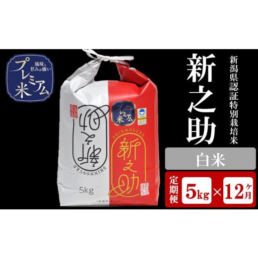 ふるさと納税 新潟県 柏崎市 令和5年産新米甘味の強いプレミアム米 新潟県認証特別栽培米 新之助 白米 5kg×12回（計 60kg）[U061]