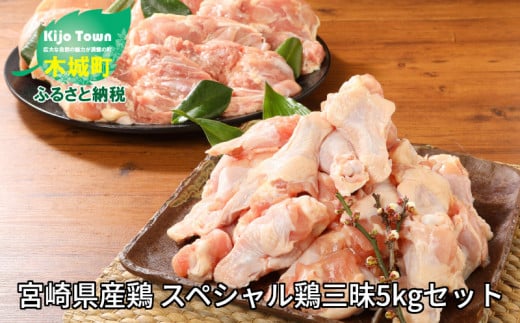 ＜宮崎県産鶏 スペシャル鶏三昧5kgセット＞ K16_0017_3