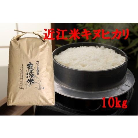 送料無料！令和5年産 特別栽培米「キヌヒカリ」 10ｋｇ