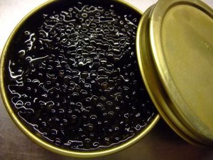 フランス産　セブルーガタイプ　エクストラ　フレッシュ　キャビア　50ｇ缶