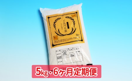 信州佐久産　コシヒカリ　五郎兵衛米　5kg 幻の米 美味しいお米 お取り寄せ