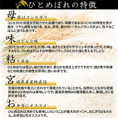 ふるさと納税 村田町 宮城県産ひとめぼれ 玄米10kg全6回