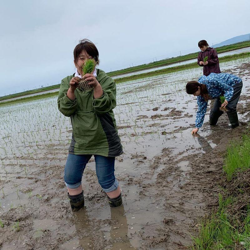 水菜土農園精米セット新米 秋田県産 あきたこまち 5kg・ミルキークイーン 5kg 令和4年産 古代米お試し袋付き