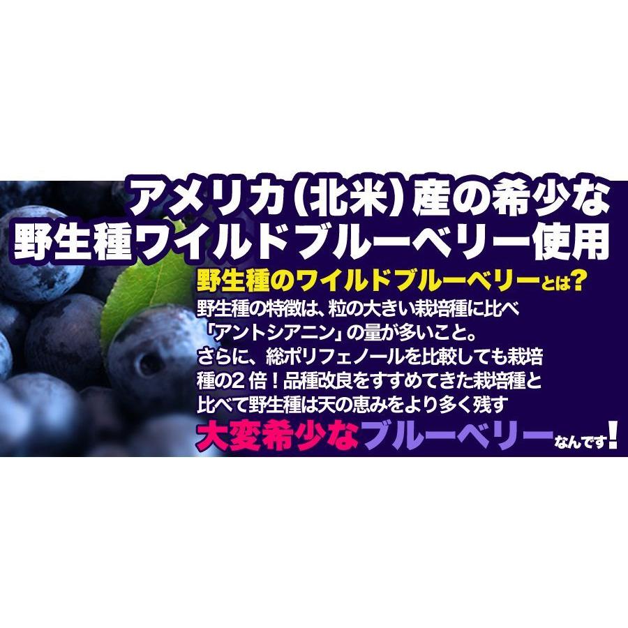 野生種★ワイルドブルーベリー大容量１ｋｇ　ドライフルーツ