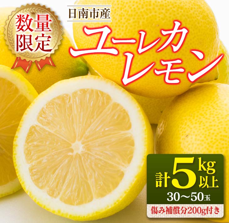 BA46-23 ≪数量限定≫ユーレカレモン(計5kg以上)傷み補償分200g付き　フルーツ　果物　柑橘　国産