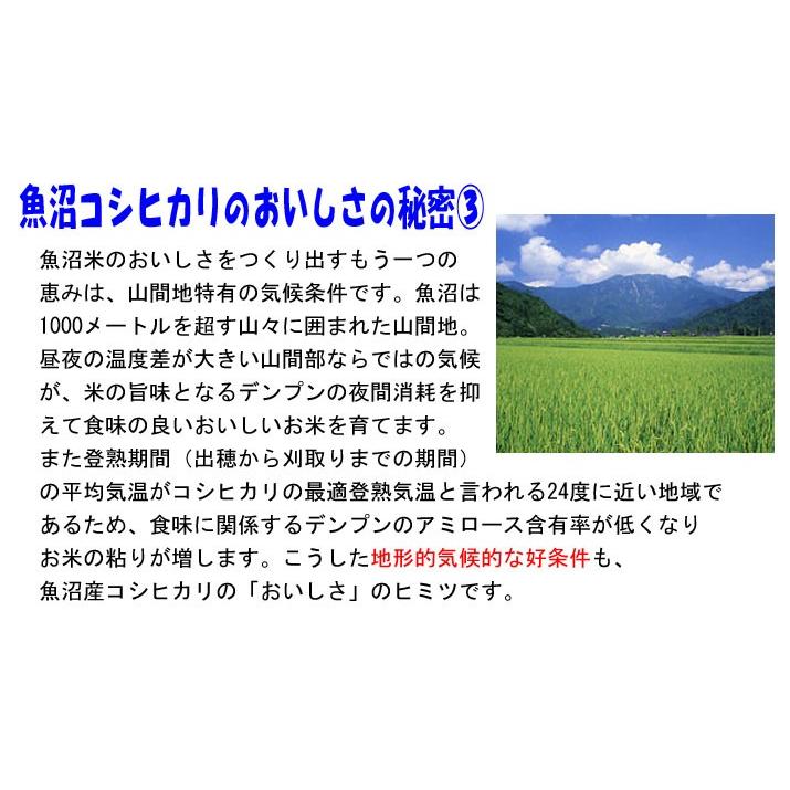 新米 令和5年産 特別栽培米 5kg 新潟県 魚沼産 コシヒカリ 玄米 白米 7分づき 5分づき 3分づき 出荷日精米  送料無料