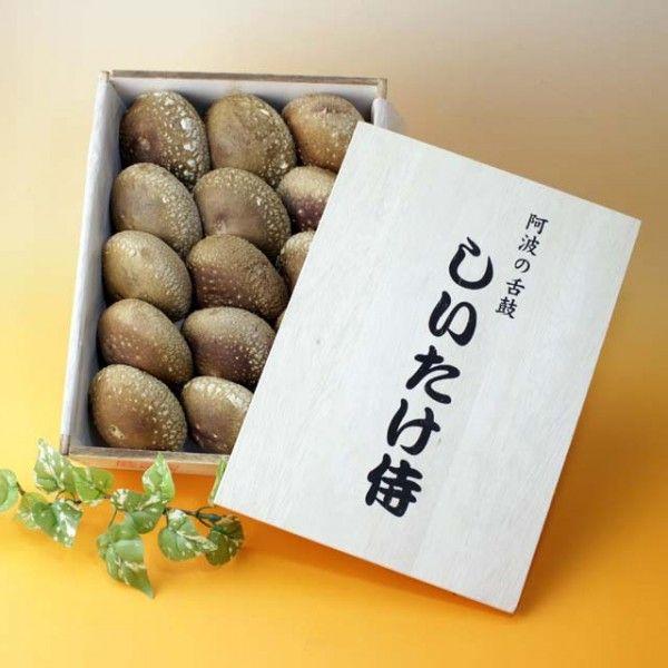 　しいたけ侍　贈答用木箱　15個入り　徳島産