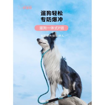 p繩防爆沖遛狗狗牽引繩訓練邊牧金毛柯基p鏈幼小中大型犬寵物項圈