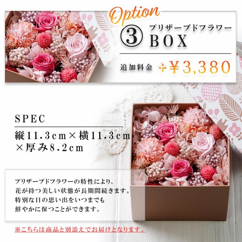 名入れ コンパクトミラー ジルスチュアート ギフト JILLSTUART
