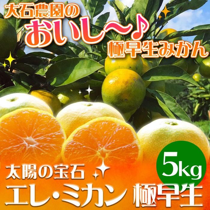 静岡県産 極早生みかん 5kg エレ・ミカン 極早生 日南 ミカン 蜜柑 温州みかん ビタミンC 産地直送 送料無料