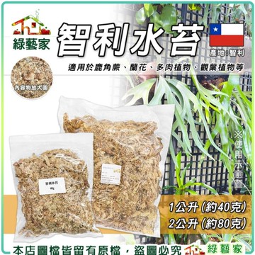 【綠藝家】智利水苔1公升(約40克)// 5A水苔 精緻過篩 鹿角蕨 觀葉植物 水草 蘭花介質 苔球植物