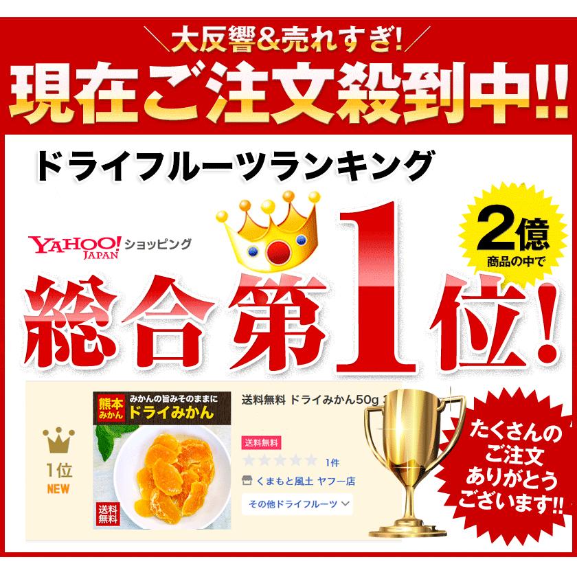 熊本県産 みかん 厳選 ドライみかん 100g ドライフルーツ 送料無料 国産 ポイント消化  7-14営業日以内に出荷予定(土日祝日除く)